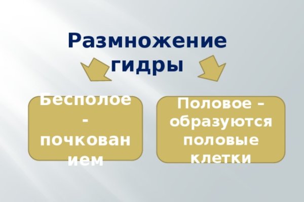 Нарко сайт кракен