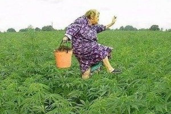 Сайт кракен россия